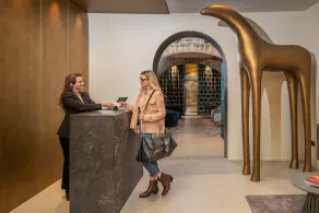 PALAZZO UBERTINI Urban Suites - Image 4