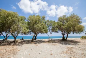 Aadonis Villa - Image 5