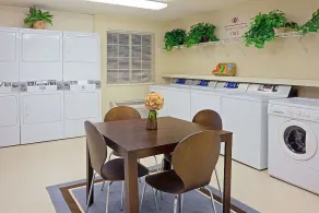 Prime Location! Free Parking, Pets Allowed, Near Strawbridge Lake Park - Image 5