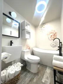 Denver Oasis Swim Spa Retreat - Image 3