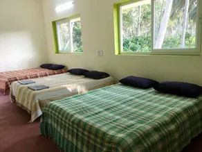 FarmStay near Pollachi amidst Coconut Trees with River Access - Image 3