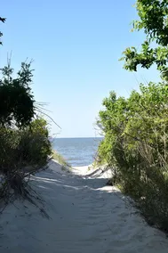 Classic Lewes Beach Cottage - Image 5