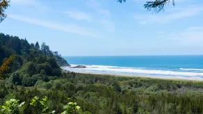 Wunderschön eingerichtetes, voll ausgestattetes Haus, WLAN und nur einen kurzen Spaziergang vom Strand entfernt! - Image 4