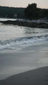 Ocean Front Retreat! - Image 3