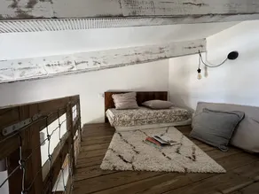 Caseddu charmerende, lille typisk korsikanske får - Image 4