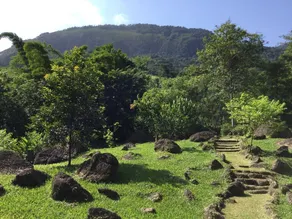 Spacious ensuite in forest in Paraty with delicious breakfast included - Image 5