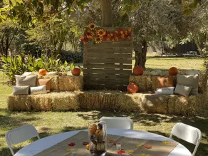 Venue in the country - Image 5