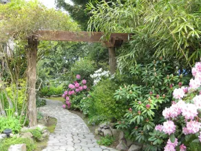 Romantic Luxury Oceanfront Cottage - Image 4