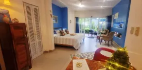 BOOK - MOVE IN - FEEL GOOD! Your Studio right on the Beach. Pets welcome! - Image 4