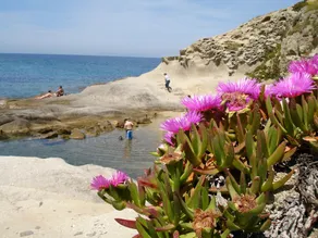 Rummeligt sommerhus med havudsigt og have tæt på stranden på øen Elba - Image 3