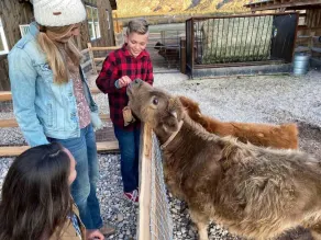 #1 Zion Kolob Farm Stay - Image 3