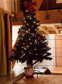 Namur - Malonne Self-catering cottage with all comforts - Image 3