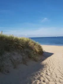 Cozy apartment near the sea, beach and dunes. Have a nice holiday! - Image 4
