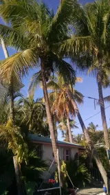Mittlere Florida Keys Bayfront Hideaways mit Segelboot, in der Nähe von Marathon und Key West - Image 2