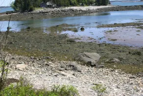Ruhiges Ferienhaus am Meer in der Wohoa Bay - Image 2