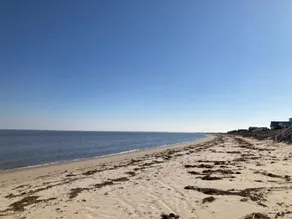 Prime Hook Retreat - Amazing View of the Refuge - Beach Access Across the Street - Image 5