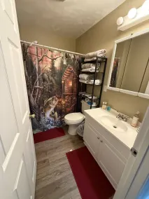 cabin on a stream - Image 3