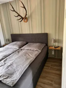 Ferienhaus II Zittertal Neustadt Harz  mit großem eingezäunten Garten - Image 4