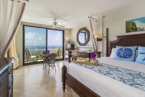 Honeymoon/Romantic Private Suite with Ocean View & Pool; Over 150 5 Star Reviews - Image 5