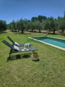 Authentique mazet avec piscine au milieu de 2 hectares d'oliviers - Image 5