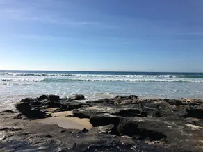 O lugar do Sid !!!! PETS, PRAIA, MT COOLUM, LOJAS, GOLFE 🐶⛳️🏖 - Image 5