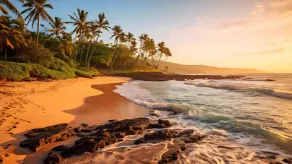 Ocean Pearl at Turtle Bay - Image 3
