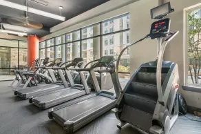 Lodgeur Med Center, Houston - close to MD Anderson & other hospitals - Image 2