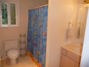 Privat brygga, eldstad och en badtunna! - Image 3