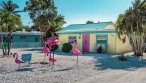 The Flamingo - Image 4