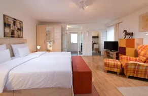 Ferienwohnung/App. für 3 Gäste mit 34m² in Arnstadt (72782) - Image 4