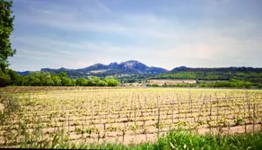 VILLA ALINE ON THE WINE ROUTE - Image 5