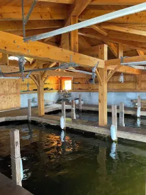Stunning 5 BR Lakefront Home with Private Gym & Boat House - Image 3