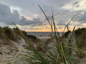 5 personer fritidhus i Vejers Strand - Image 4
