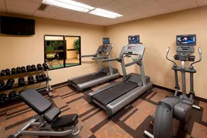 Elevate Your Miami Adventure! Pet-Friendly Stay Near Country Lake Park! - Image 2