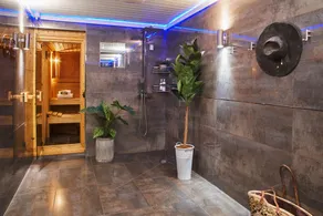Swallows End - Apartment with hot tub, sauna and pool (Dartmoor) - Image 4