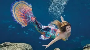 Fun Weeki Wachee River Boathouse - Image 2
