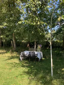 New! Eco vacation home with garden, 200 m from the Grevelingenmeer, close to the North Sea beach. - Image 5