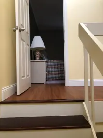 The Doghouse LLC Rental - Image 3