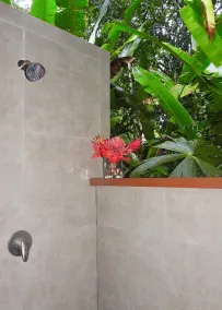 Quiet, private, Jungle House - 4x4 Required - Image 2