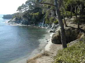 MEER, POOL, SPAZIERGANG AUF DEN SPUREN - Image 4