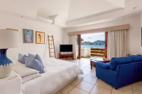 Luxury Villa *25,000  Sq Ft* With Full Staff - Image 3