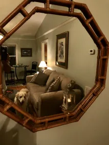 Shandons Bedste: Bubba's Tranquil Treehouse - Image 2