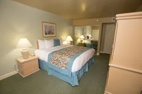 Palm Springs | Desert Getaway | Pool & Water Slide - Image 5