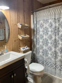Black Bear Bungalow- SKI HOME, On Moover line - Image 3