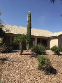 Inside the gated  ACTIVE seniors community of Pebble Creek - Image 5