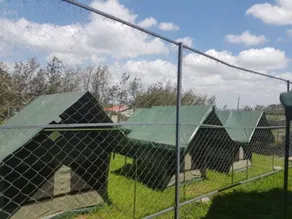 Lesiolo Hills Hotel - Image 2