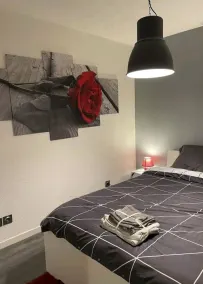 Joli T2, jacuzzi et parking privé - Image 3