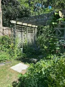 Wild Divine Sanctuary: Yoga + Nature + Zen - Image 2
