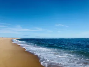 Waterfront Plum Island Getaway! - Image 3