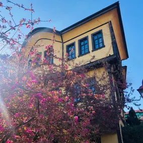 Odunpazarı Paşa Konak Hotel - Image 5